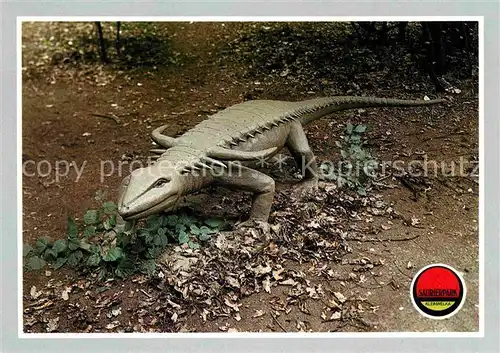 Dinosaurier Desmatosuchus Saurierpark Kleinwelka  Kat. Tiere