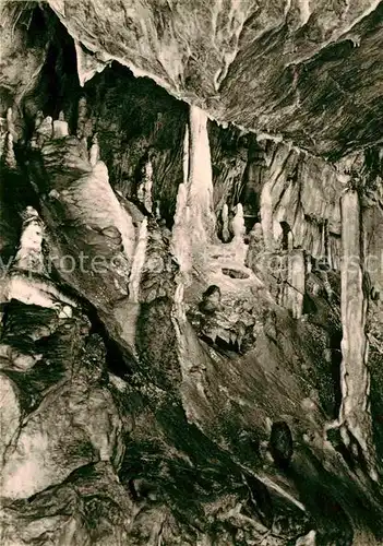 Hoehlen Caves Grottes Ruebeland Baumannshoehle Palmengrotte  Kat. Berge