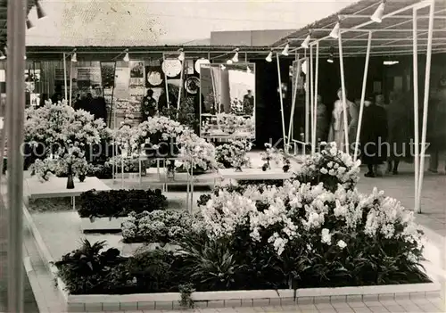 Gartenbauaustellung Erfurt Halle V  Kat. Expositions