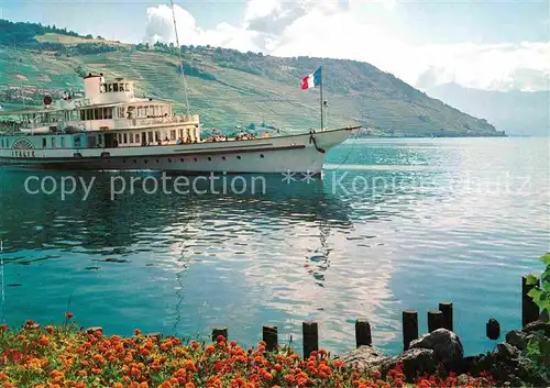 Dampfer Seitenrad Italie Lac Leman  Kat. Schiffe
