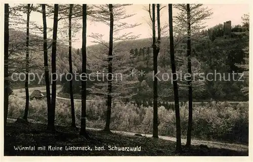 Schwarzwald Wuermtal mit Ruine Liebeneck Kat. Regionales