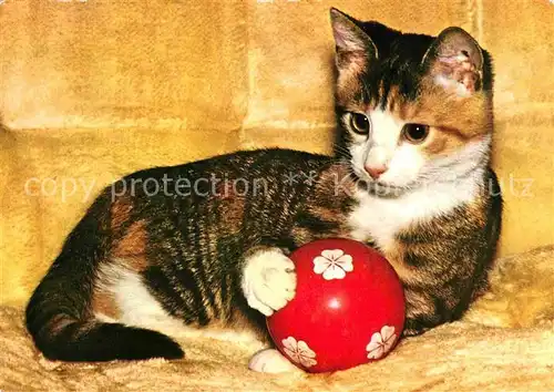 Katzen Ball  Kat. Tiere