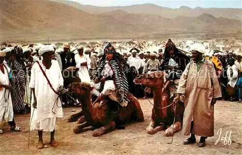 Kamele Moussem Marocco  Kat. Tiere