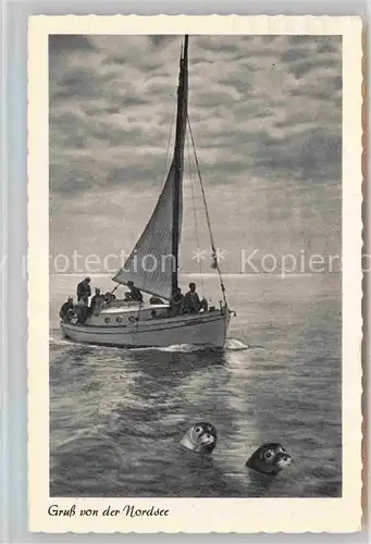 Segelboote Nordsee Seehunde  Kat. Schiffe