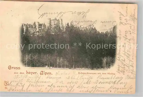 Hohenschwangau Schloss Hohenschwangau mit dem Saeuling Kat. Schwangau