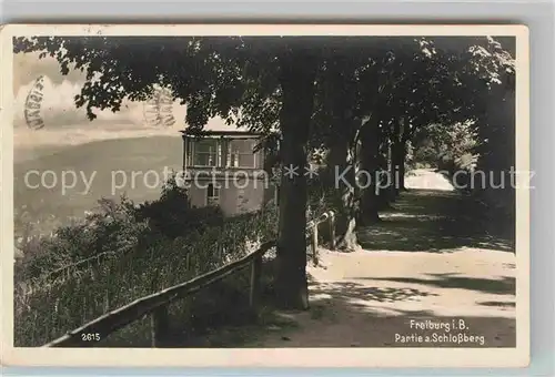 Freiburg Breisgau Partie Schlossberg Kat. Freiburg im Breisgau