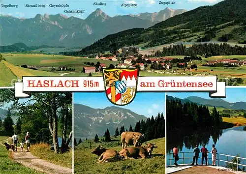 Haslach Haldenwang Zugspitze Gruentensee  Kat. Haldenwang