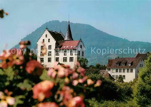 Hohenhewen Hohenhoewen mit Krenkinger Schloessle Kat. Engen