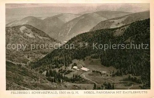 Feldberg Schwarzwald Panorama mit Zastlerhuette Kat. Feldberg (Schwarzwald)