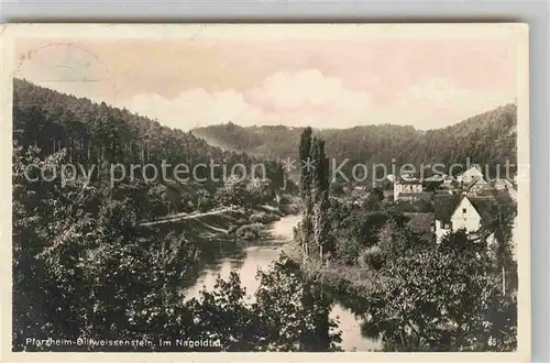 Dillweissenstein Partie im Nagoldtal Kat. Pforzheim