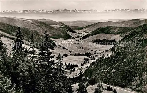 Feldberg Schwarzwald Panorama Blick ins Menzenschwandertal mit Schweizer Alpenkette Kat. Feldberg (Schwarzwald)