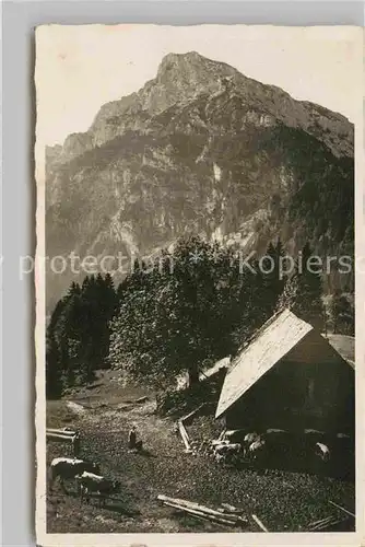 Hinterstaufen Steineralm Kat. Oberstaufen