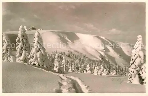 Feldberg Schwarzwald Blick auf Feldbergturm und Zastlerhalde Winterpanorama Kat. Feldberg (Schwarzwald)