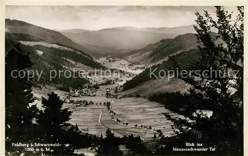 Feldberg Schwarzwald Panorama Blick ins Menzenschwander Tal Kat. Feldberg (Schwarzwald)