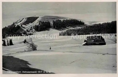 Herzogenhorn Panorama Wintersportplatz Kat. Feldberg (Schwarzwald)