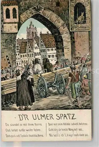 Ulm Donau Dr Ulmer Spatz Kat. Ulm