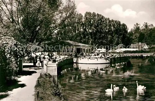 Gandersheim Bad Seeterrassen Schwan Kat. Bad Gandersheim