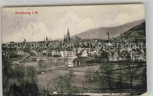 Freiburg Breisgau Muenster Panorama Kat. Freiburg im Breisgau