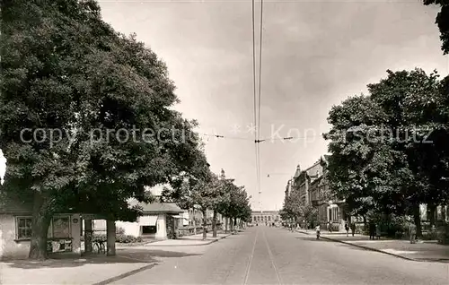 Landau Pfalz Ostbahnstrasse Kat. Landau in der Pfalz