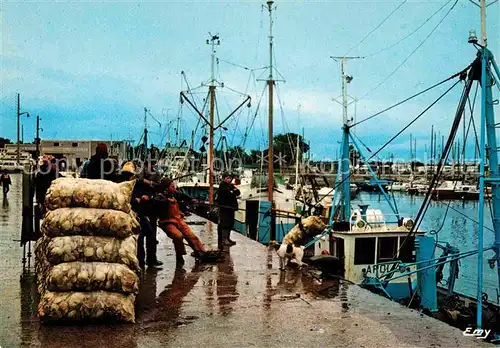 Grandcamp Maisy Calvados Hafen Kat. Grandcamp Maisy