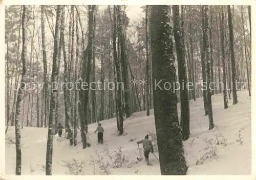 Danzig Westpreussen Waldpartie Kat. Gdansk