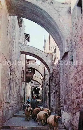 Jerusalem Yerushalayim Via Dolores  Kat. Israel