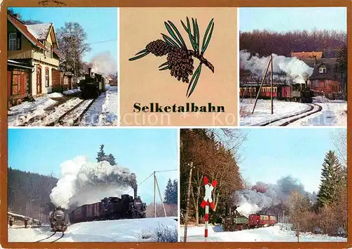Lokomotive Selketalbahn Bahnhof Strassberg Harzgerode Alexisbad  Kat. Eisenbahn
