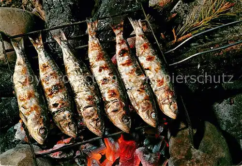Fische Sardinas a la Brade Espana  Kat. Tiere