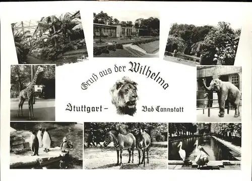 Cannstatt Wilhelma Tierpark Kat. Stuttgart
