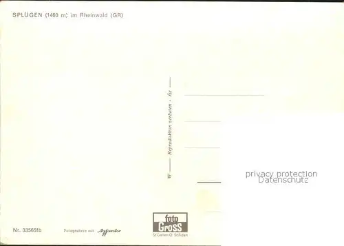 Spl?gen GR Ortsansicht Landschaftsbilder Steinbock