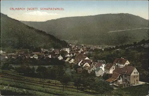 Calmbach Enz Panorama Kat. Bad Wildbad