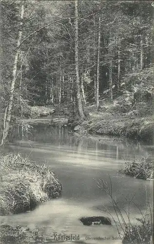 AK / Ansichtskarte Koenigsfeld Schwarzwald Obereschbacher Schlucht / Koenigsfeld im Schwarzwald /Schwarzwald-Baar-Kreis LKR