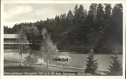 AK / Ansichtskarte Koenigsfeld Schwarzwald Saegeweiher / Koenigsfeld im Schwarzwald /Schwarzwald-Baar-Kreis LKR