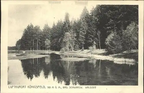 AK / Ansichtskarte Koenigsfeld Schwarzwald Waldsee / Koenigsfeld im Schwarzwald /Schwarzwald-Baar-Kreis LKR