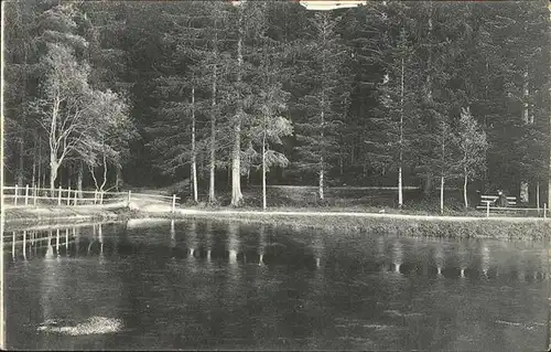 AK / Ansichtskarte Koenigsfeld Schwarzwald Waldsee / Koenigsfeld im Schwarzwald /Schwarzwald-Baar-Kreis LKR