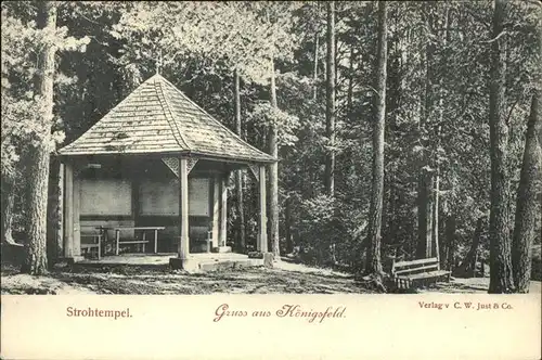 AK / Ansichtskarte Koenigsfeld Schwarzwald Strohtempel / Koenigsfeld im Schwarzwald /Schwarzwald-Baar-Kreis LKR