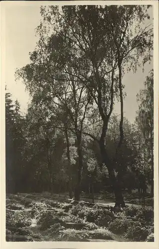 AK / Ansichtskarte Koenigsfeld Schwarzwald Luftkurort / Koenigsfeld im Schwarzwald /Schwarzwald-Baar-Kreis LKR