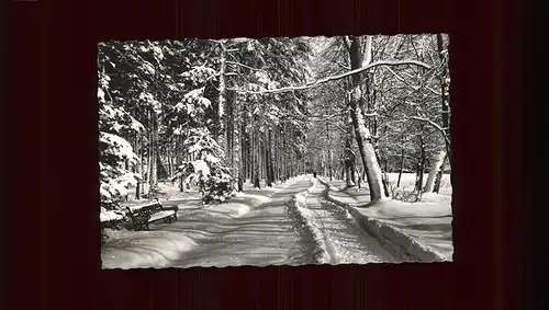 AK / Ansichtskarte Koenigsfeld Schwarzwald Waldweg Winter / Koenigsfeld im Schwarzwald /Schwarzwald-Baar-Kreis LKR