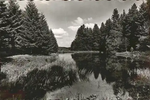 AK / Ansichtskarte Koenigsfeld Schwarzwald Donisweiher / Koenigsfeld im Schwarzwald /Schwarzwald-Baar-Kreis LKR