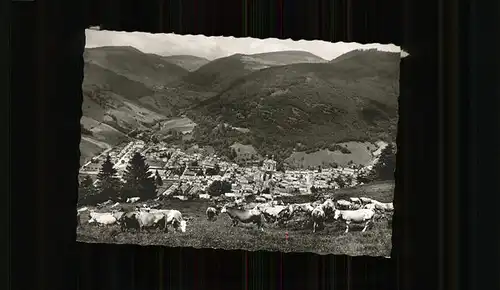 AK / Ansichtskarte Todtnau Schwarzwald Panorama mit Kuhherde Kat. Todtnau