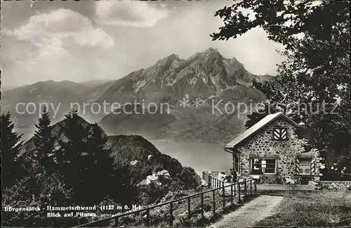 AK / Ansichtskarte Buergenstock Hammetschwand mit Pilatus / Buergenstock /Bz. Nidwalden