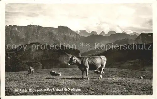 AK / Ansichtskarte Urnaesch AR Hochalp mit Churfirsten Rinder / Urnaesch /Bz. Hinterland