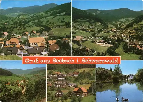 Seebach Ottenhoefen Schwarzwald i. Schwarzwald Mummelseedorf Kat. Ottenhoefen im Schwarzwald