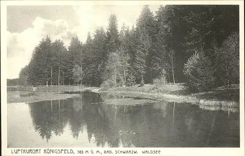 AK / Ansichtskarte Koenigsfeld Schwarzwald Waldsee / Koenigsfeld im Schwarzwald /Schwarzwald-Baar-Kreis LKR