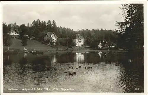 AK / Ansichtskarte Koenigsfeld Schwarzwald Saegeweiher / Koenigsfeld im Schwarzwald /Schwarzwald-Baar-Kreis LKR