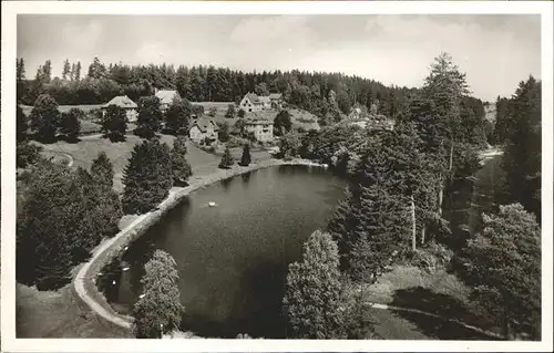 AK / Ansichtskarte Koenigsfeld Schwarzwald Saegeweiher / Koenigsfeld im Schwarzwald /Schwarzwald-Baar-Kreis LKR