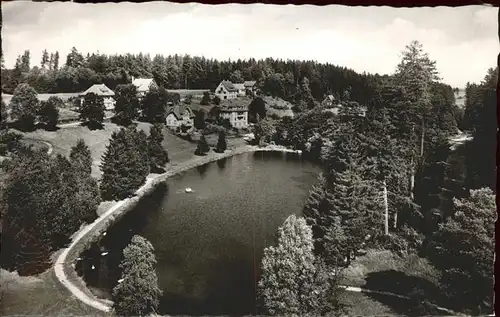 AK / Ansichtskarte Koenigsfeld Schwarzwald Saegeweiher / Koenigsfeld im Schwarzwald /Schwarzwald-Baar-Kreis LKR