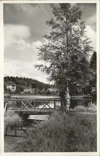 AK / Ansichtskarte Koenigsfeld Schwarzwald Saegeweiher Bruecke / Koenigsfeld im Schwarzwald /Schwarzwald-Baar-Kreis LKR