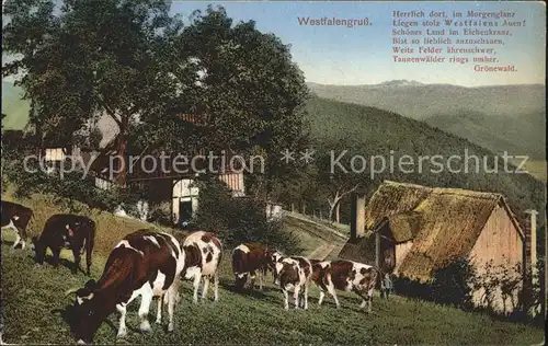 AK / Ansichtskarte Westfalen Region Bauernhaus Viehherde Kuehe Westfalengruss Serie Heimatbilder Ausgabe III No. 2 /  /