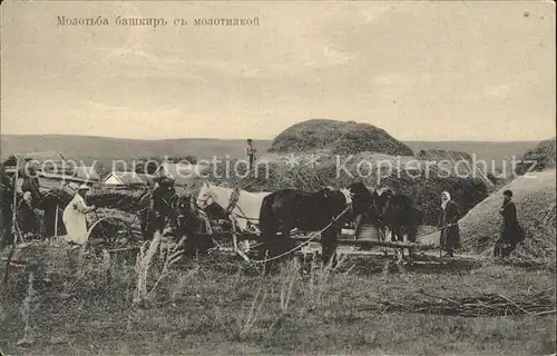 AK / Ansichtskarte Baschkortostan Landwirtschaft Pferde  /  /